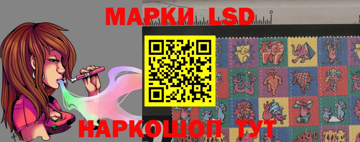 Новозыбков  LSD-25 экстази  Вход с VPN  ЛСД экстази кислота  LSD-25 экстази кислота 